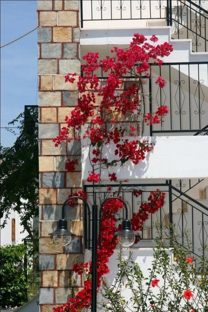 גומבט Agar Apart Hotel מראה חיצוני תמונה
